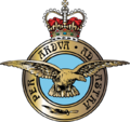 Real Força Aérea Badge.png