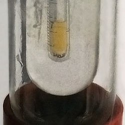 Pequena amostra de líquido amarelo pálido flúor condensado em nitrogênio líquido