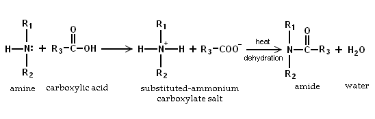 Reacção amina com ácidos carboxílicos