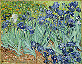 A field of flowers. The foreground includes long green stems with blue flowers, while the background includes prominent gold flowers on the left; white flowers in the center and a field to the right.